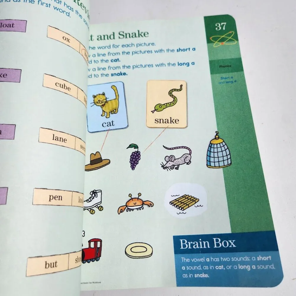 NEW Brain Quest Workbook Grade 1 1st Grade Book Paperback ‏ 320pages Stocking St